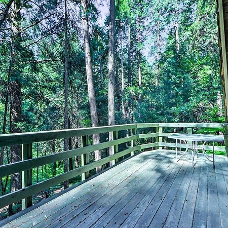 Charming A-Frame Cabin About 4 Mi To Jenkinson Lake! Pollock Pines Экстерьер фото