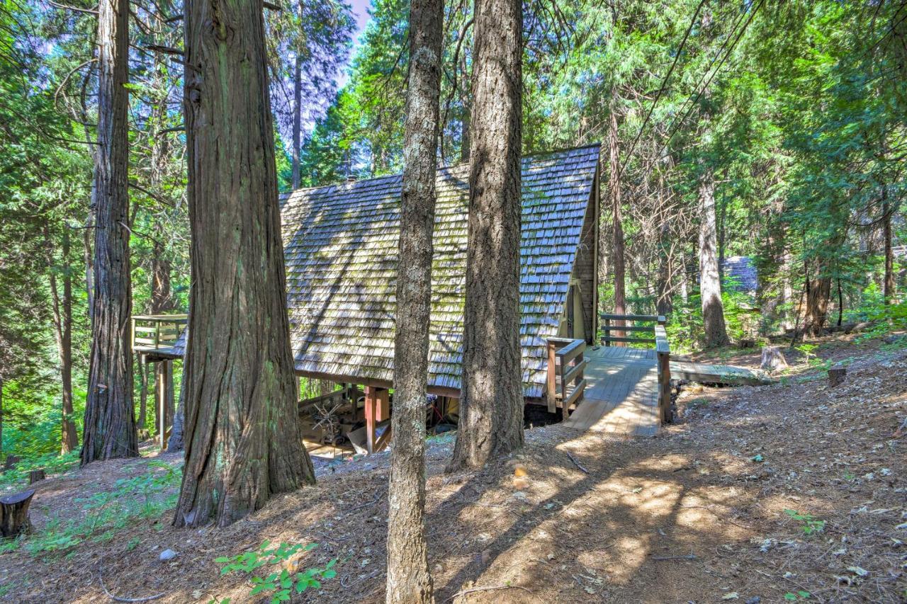 Charming A-Frame Cabin About 4 Mi To Jenkinson Lake! Pollock Pines Экстерьер фото