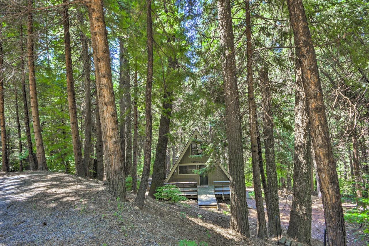 Charming A-Frame Cabin About 4 Mi To Jenkinson Lake! Pollock Pines Экстерьер фото