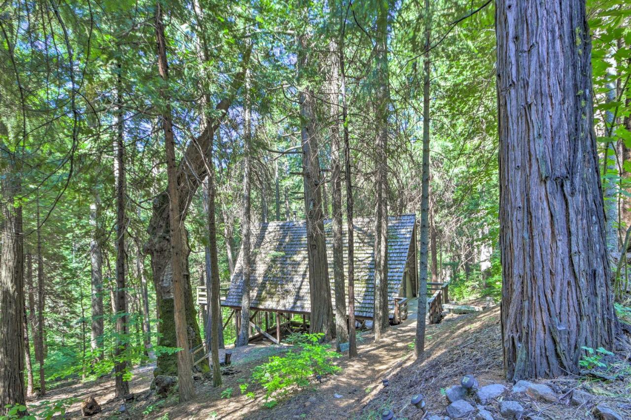 Charming A-Frame Cabin About 4 Mi To Jenkinson Lake! Pollock Pines Экстерьер фото