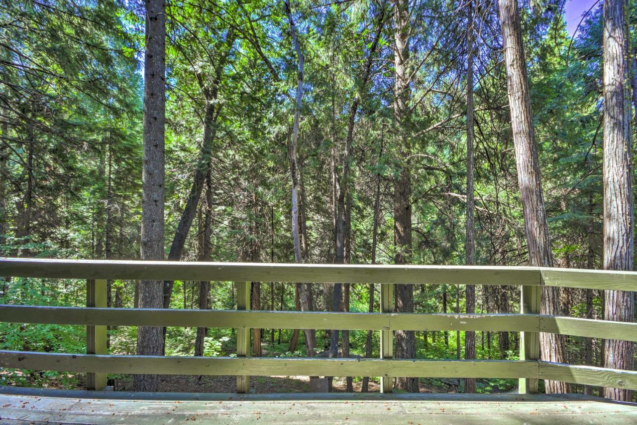 Charming A-Frame Cabin About 4 Mi To Jenkinson Lake! Pollock Pines Экстерьер фото