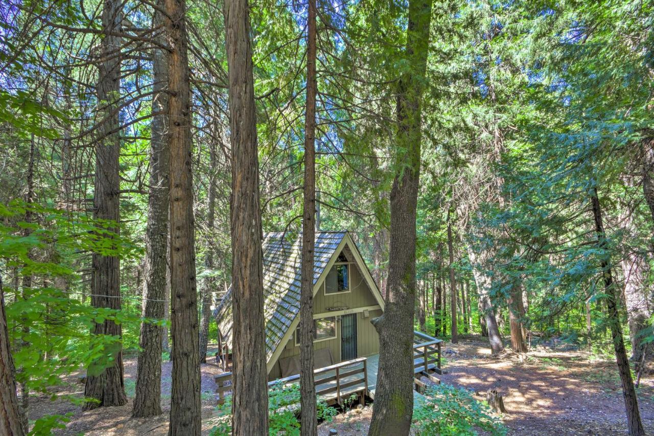 Charming A-Frame Cabin About 4 Mi To Jenkinson Lake! Pollock Pines Экстерьер фото